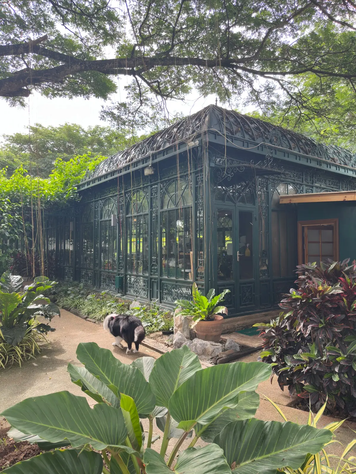 Glasshouse Chez Chateau de Khaoyai Café overall image 1