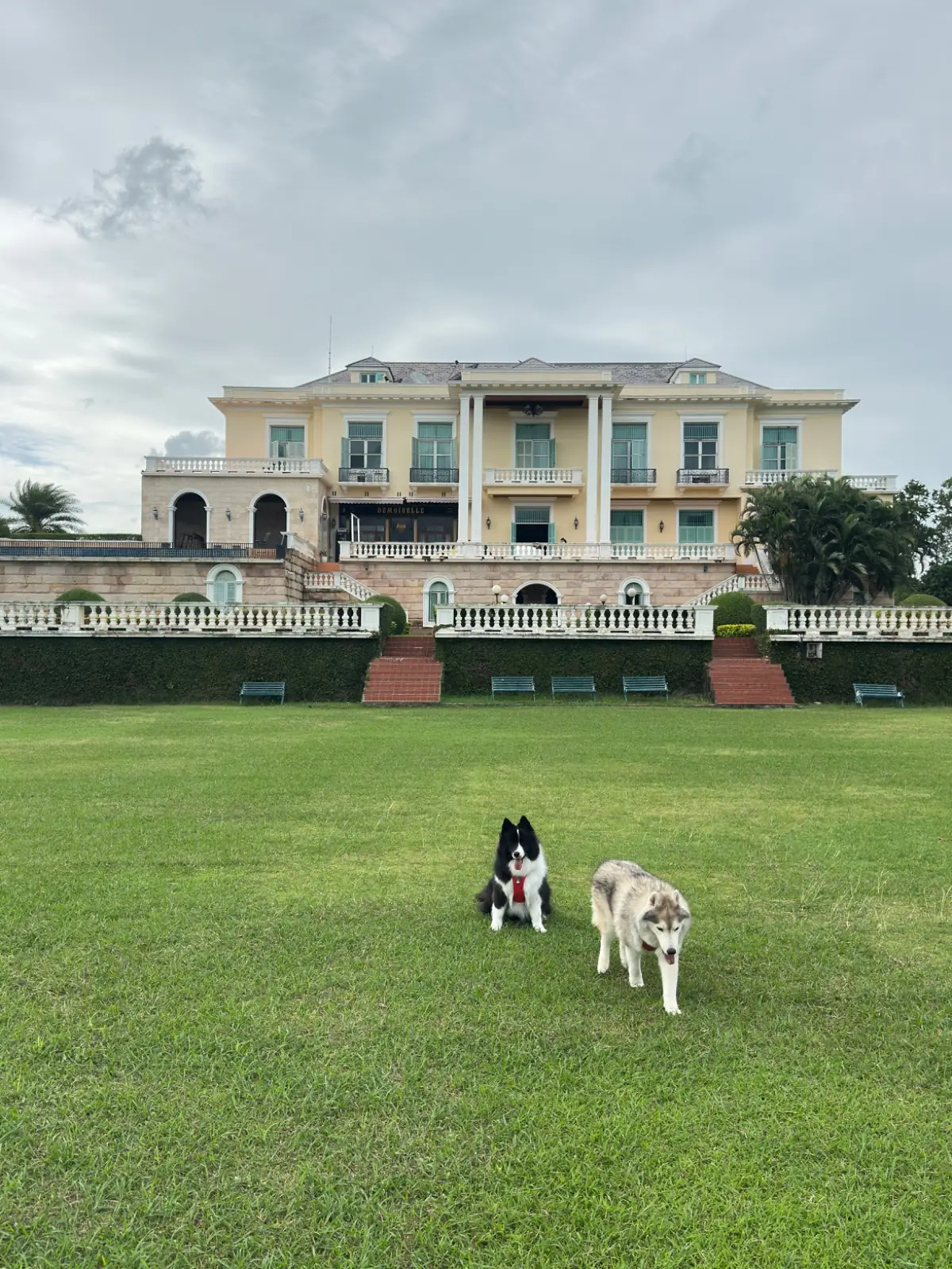 Glasshouse Chez Chateau de Khaoyai Café pets image 2