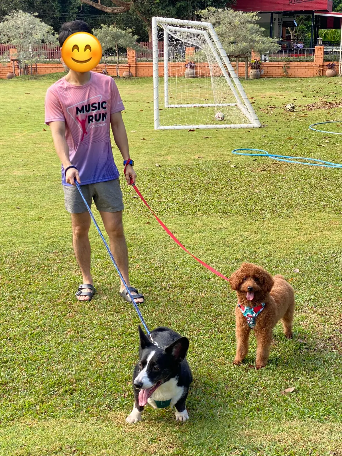 ผาชวนชม เขาใหญ่ pets image 1