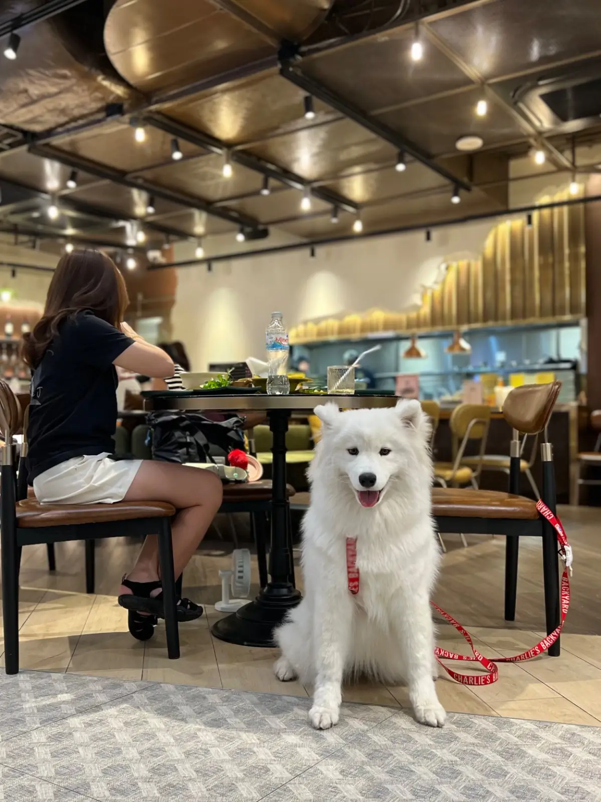 ลูกอิน ลูกจัน pets image 3