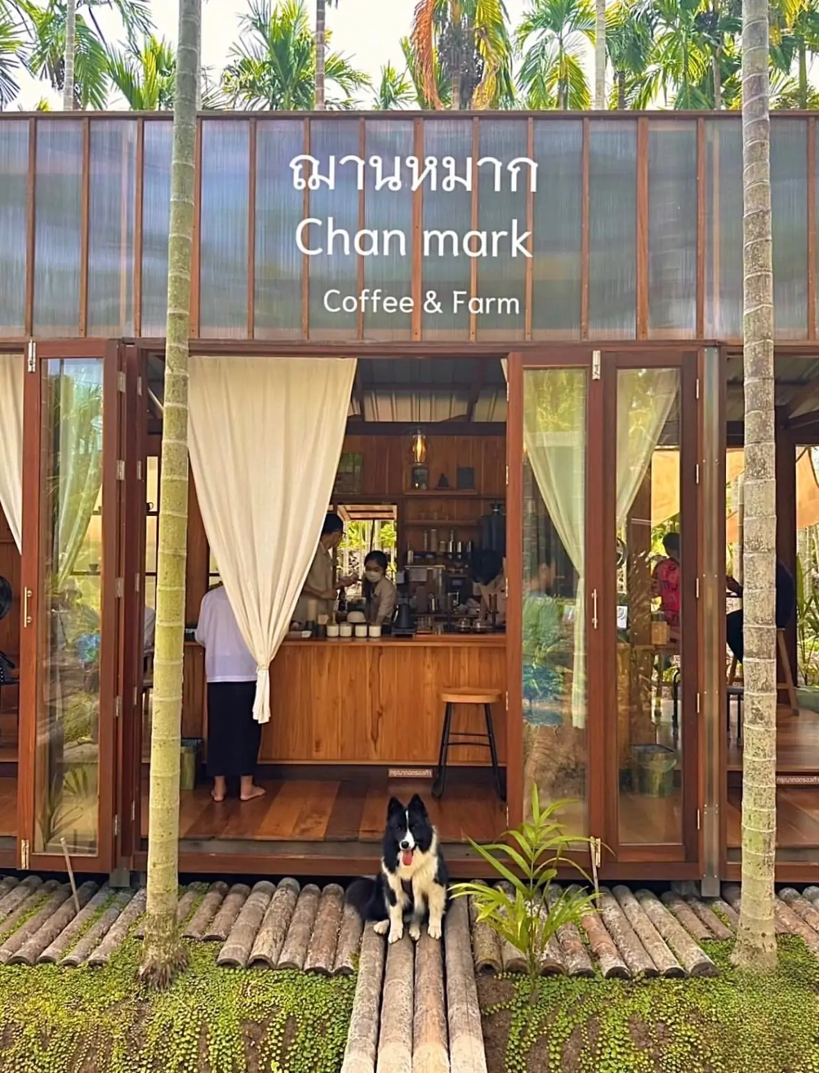ฌาณหมาก Coffee & Farm overall image 1