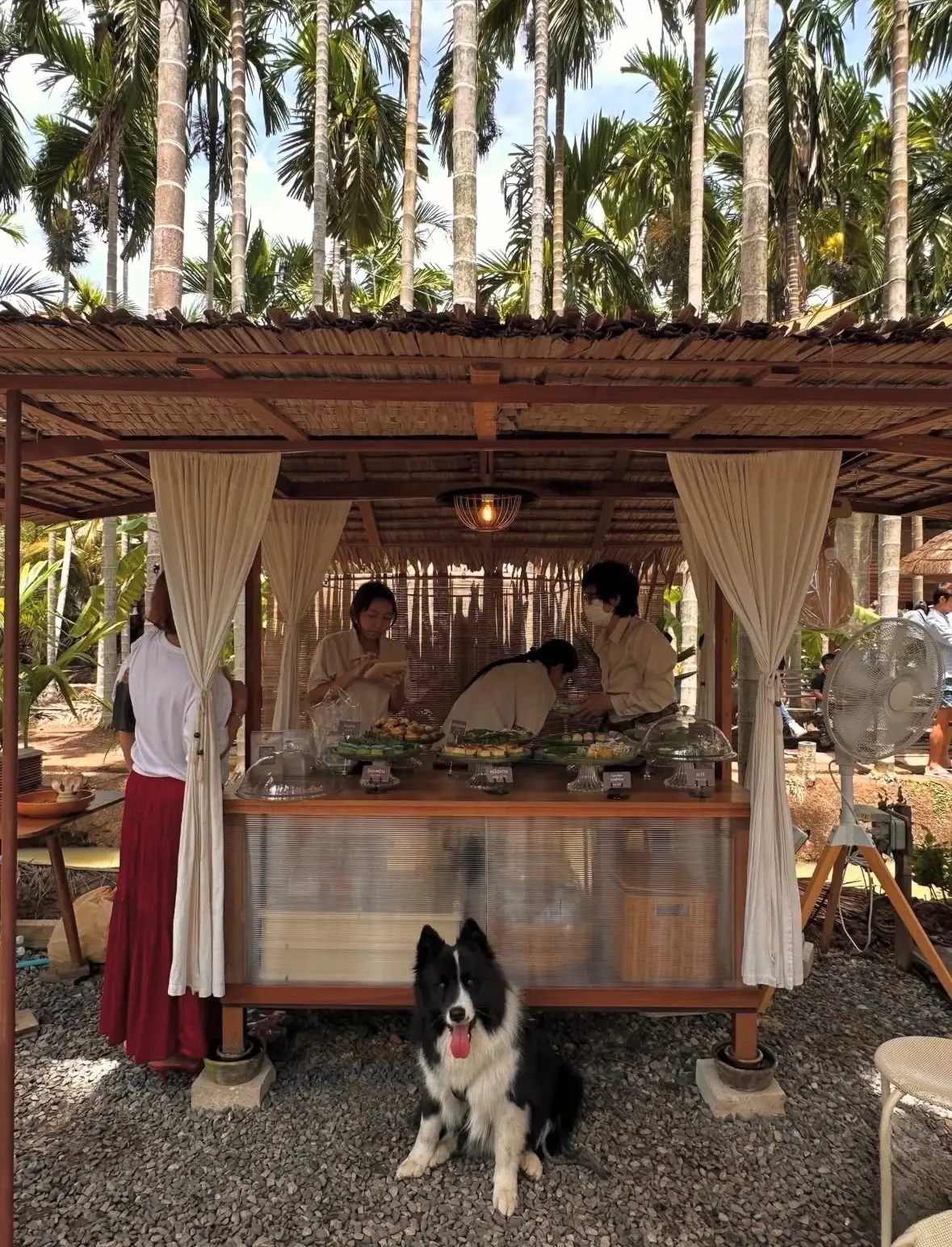 ฌาณหมาก Coffee & Farm overall image 3