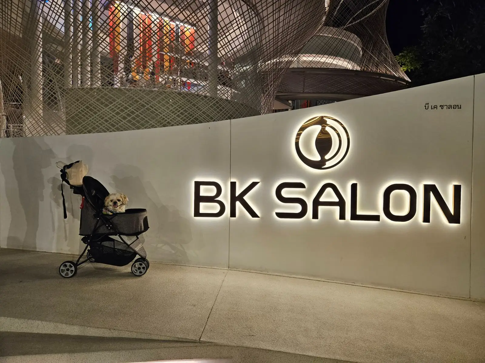 BK SALON ambiance image 1