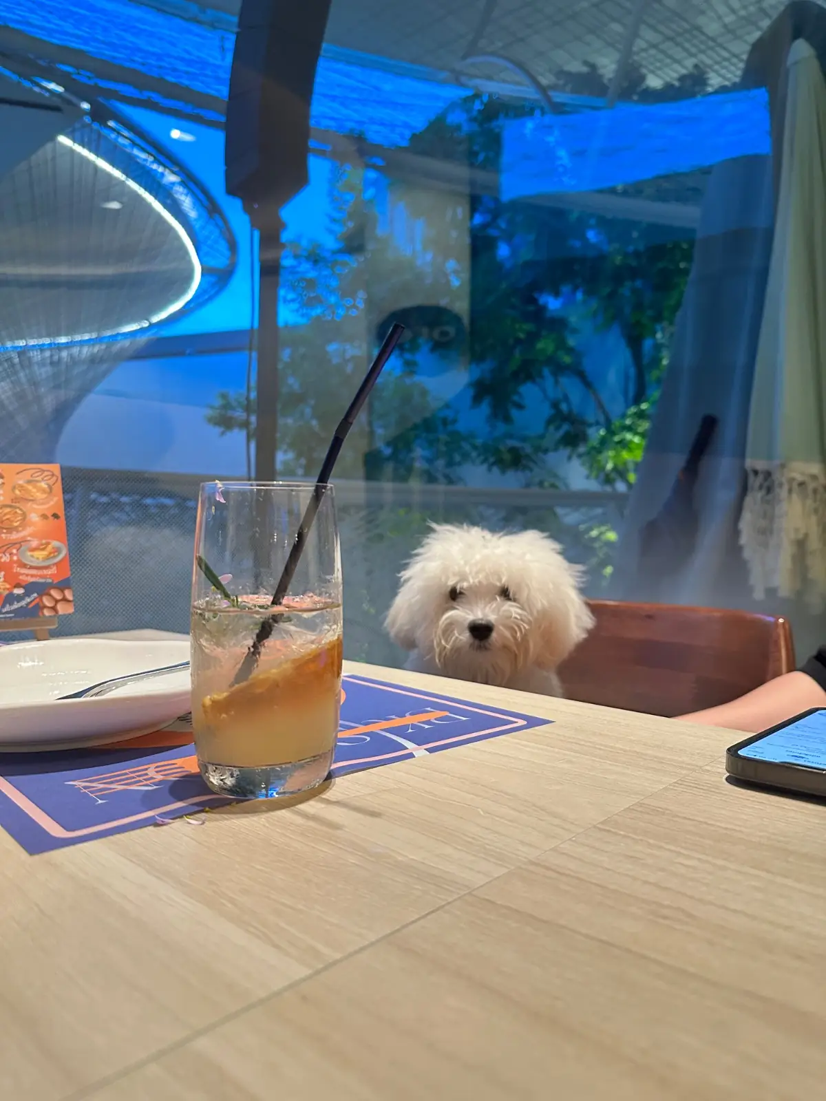 BK Salon pets image 1