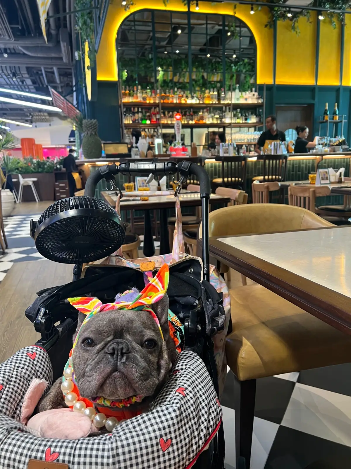 Bardo Brasserie - One Bangkok pets image 1