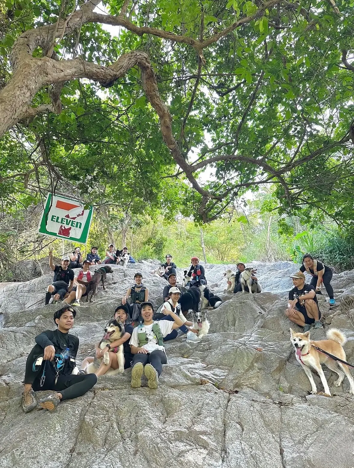 สำนักสงฆ์เขานางหย่อง pets image 1