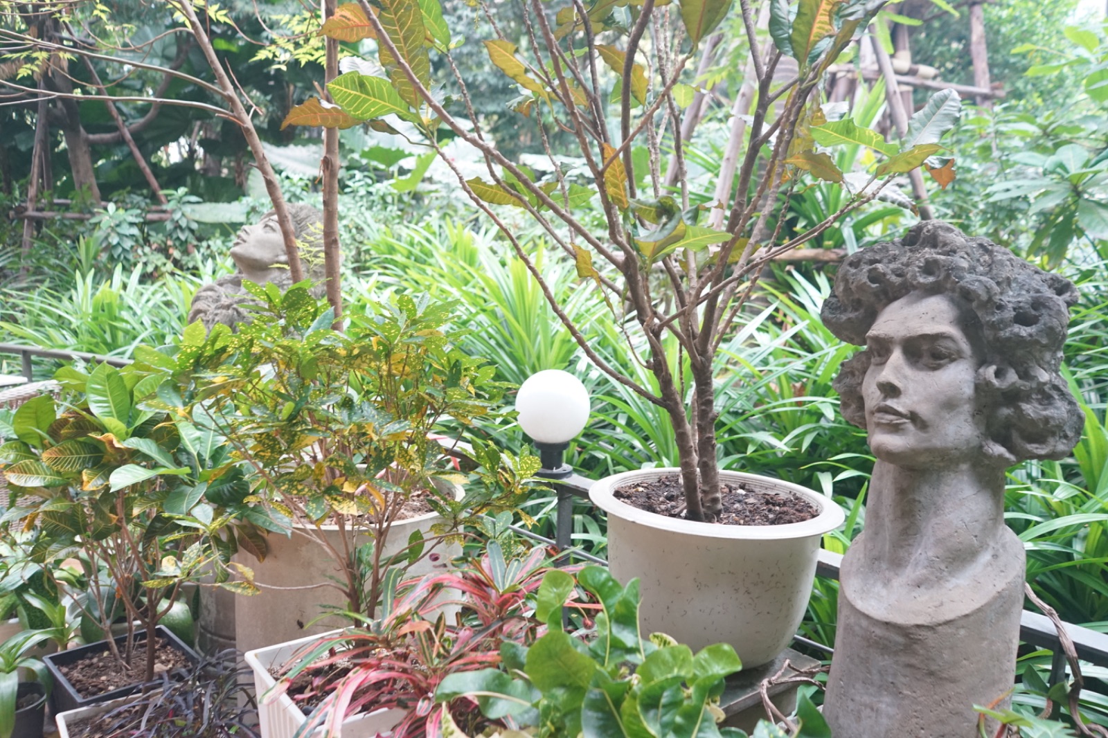 Maison Saigon hero image 2