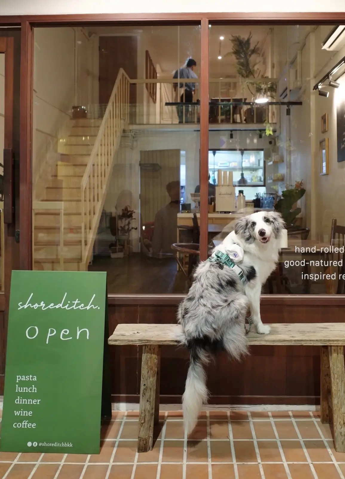 shoreditch bangkok pets image 1