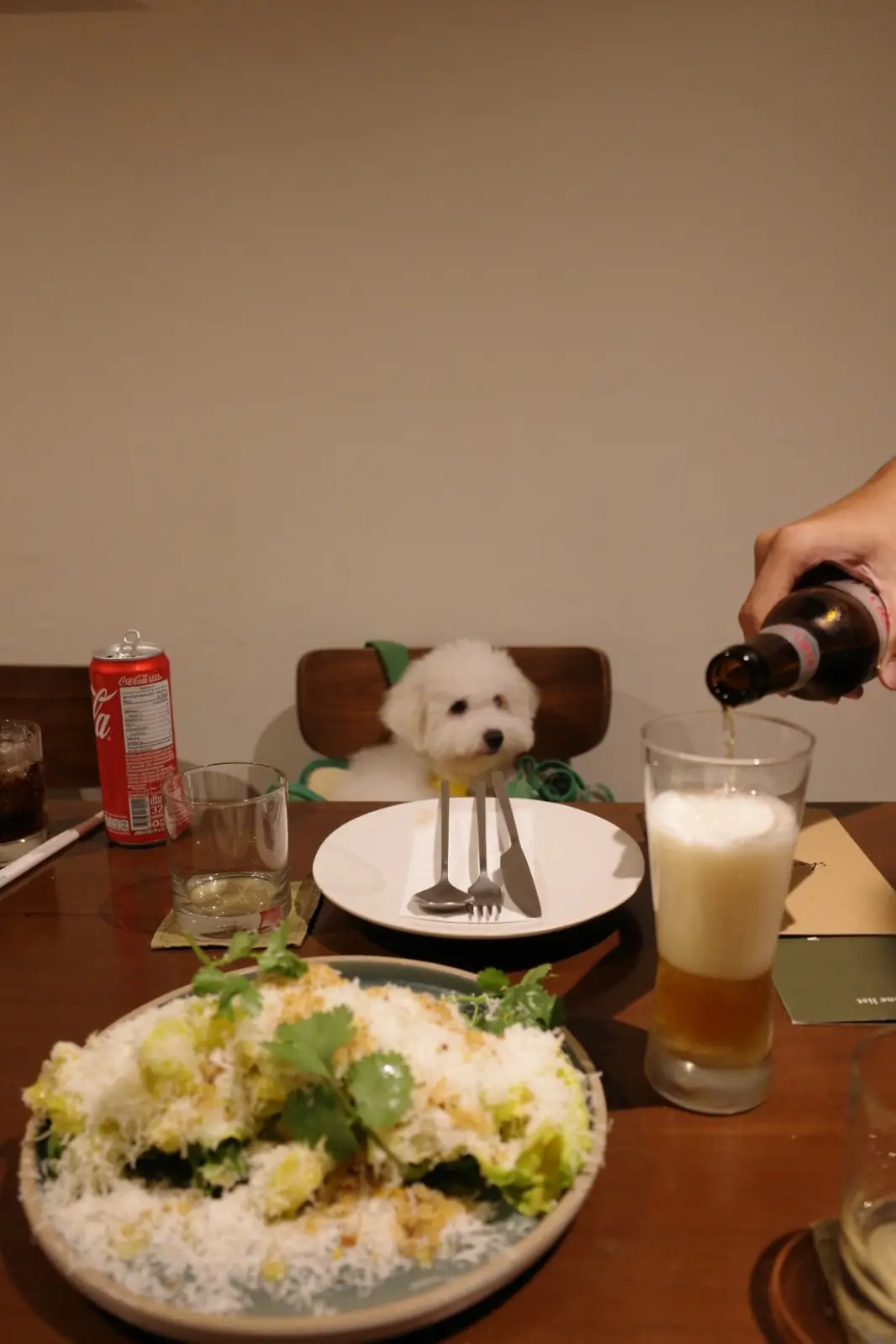 shoreditch bangkok pets image 3