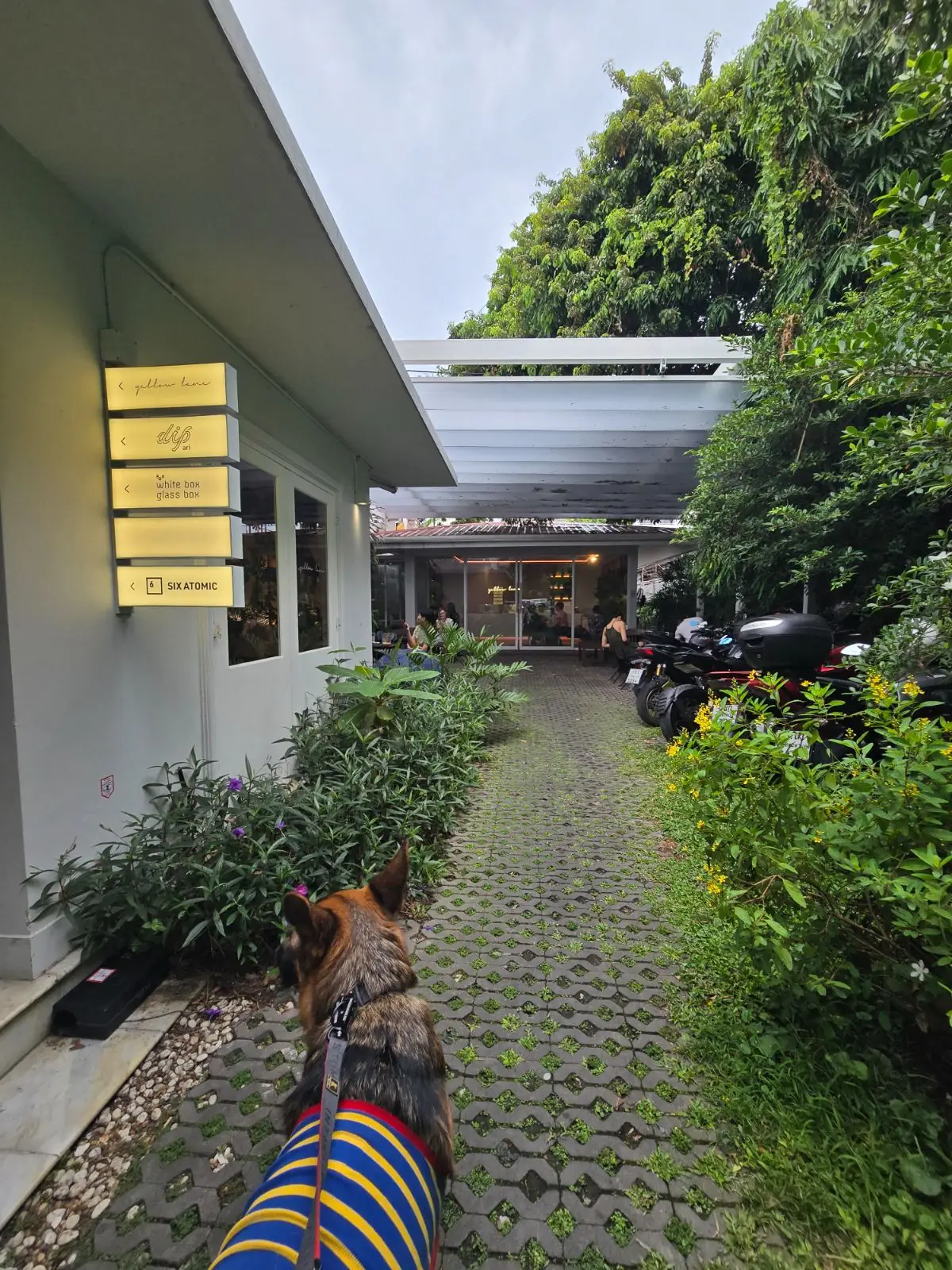 Yellow Lane overall image 2