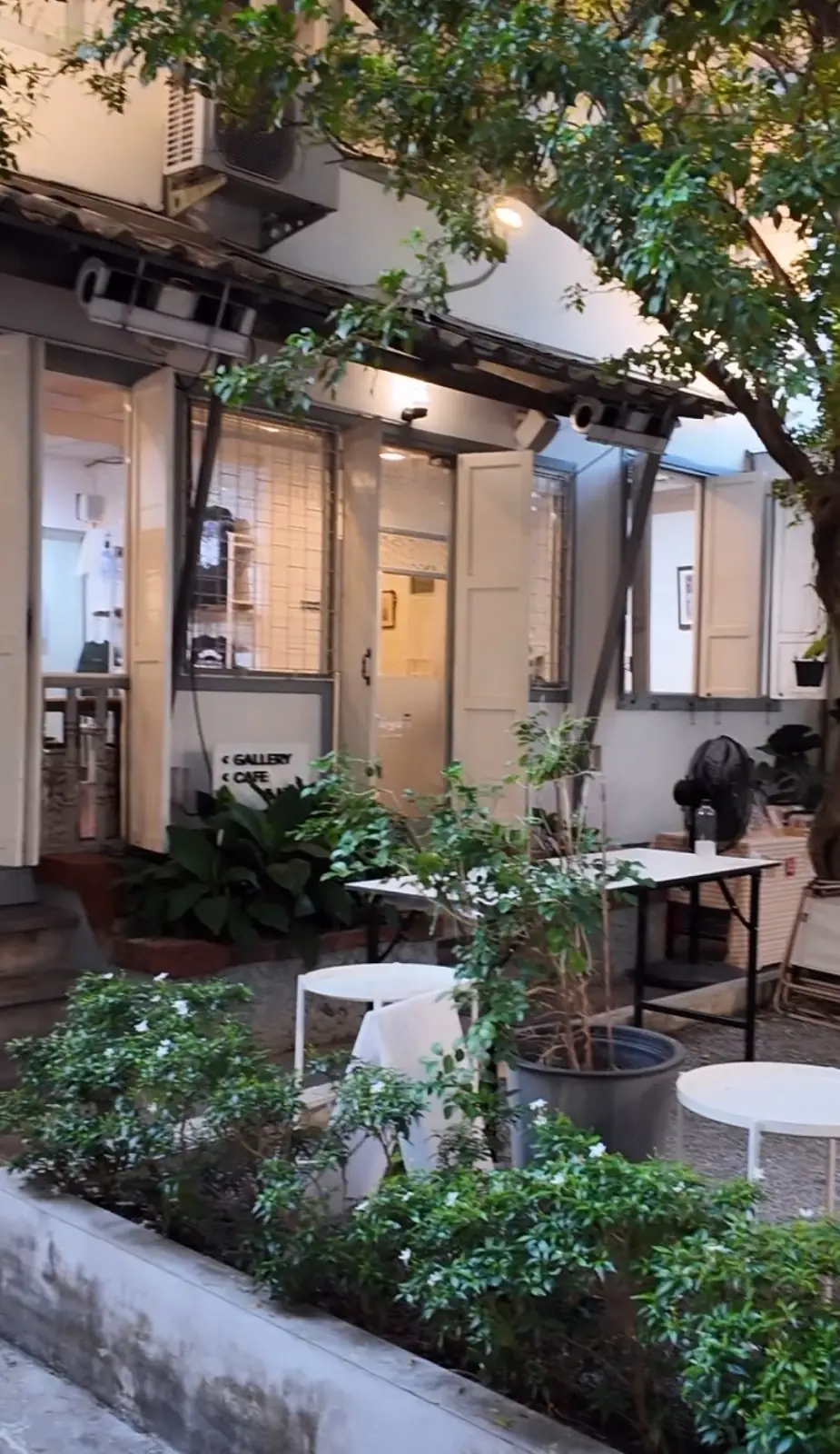 Payaq Gallery Cafe & Bar ambiance image 1