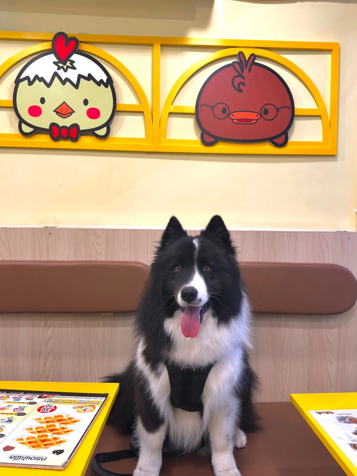 Maru Waffle - Green Canteen Thammasat Rangsit pets image 1