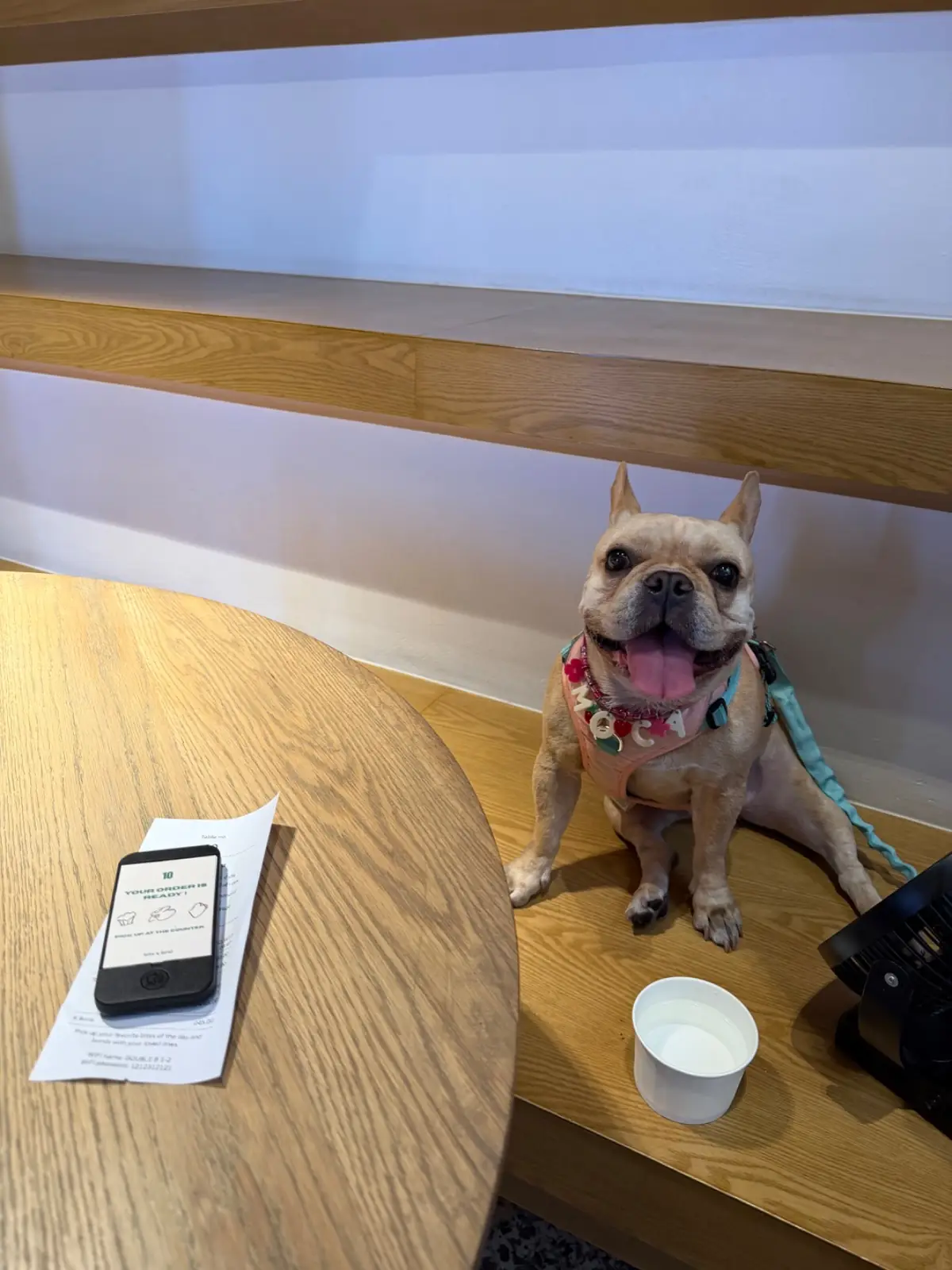 Bite and Bond pets image 1