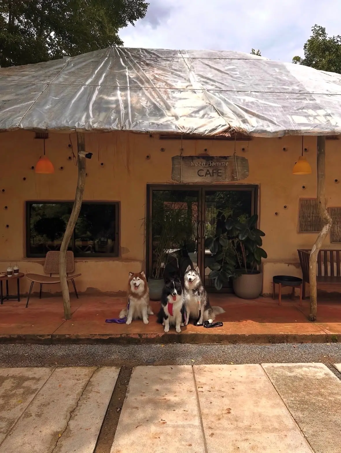 เนินหอม คาเฟ่ pets image 1