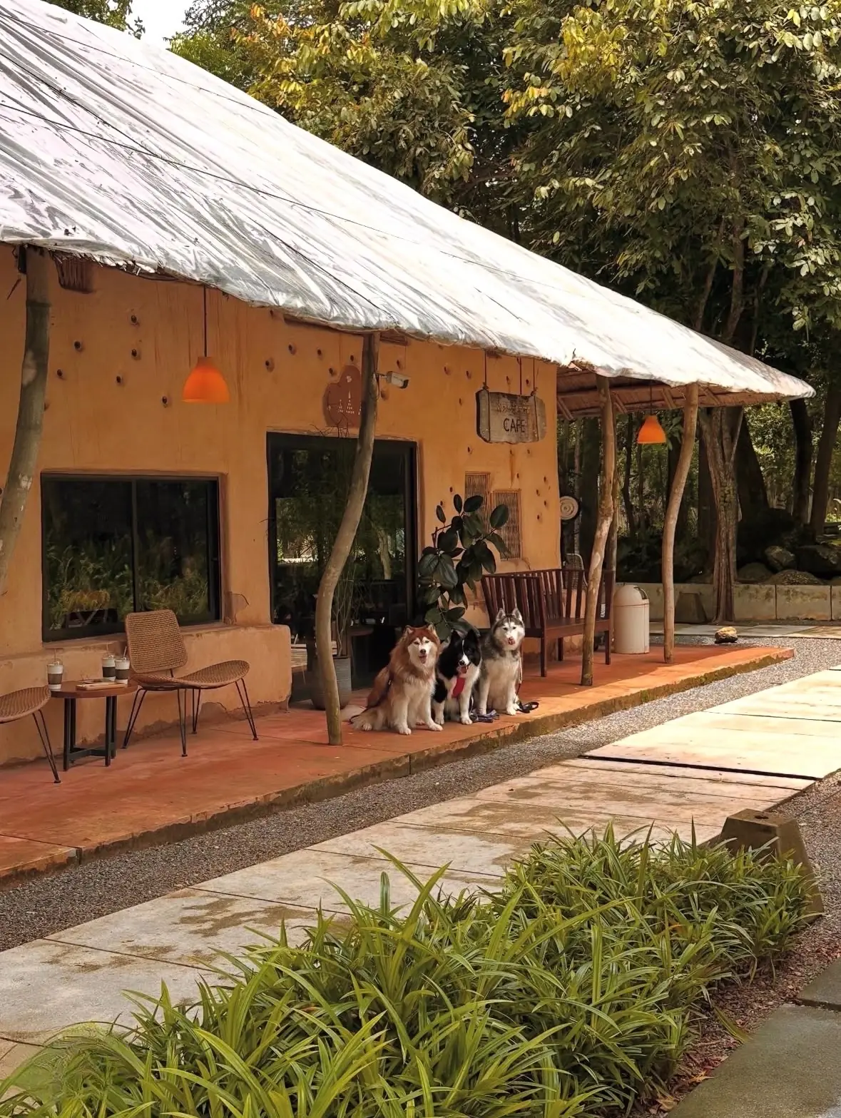 เนินหอม คาเฟ่ pets image 3