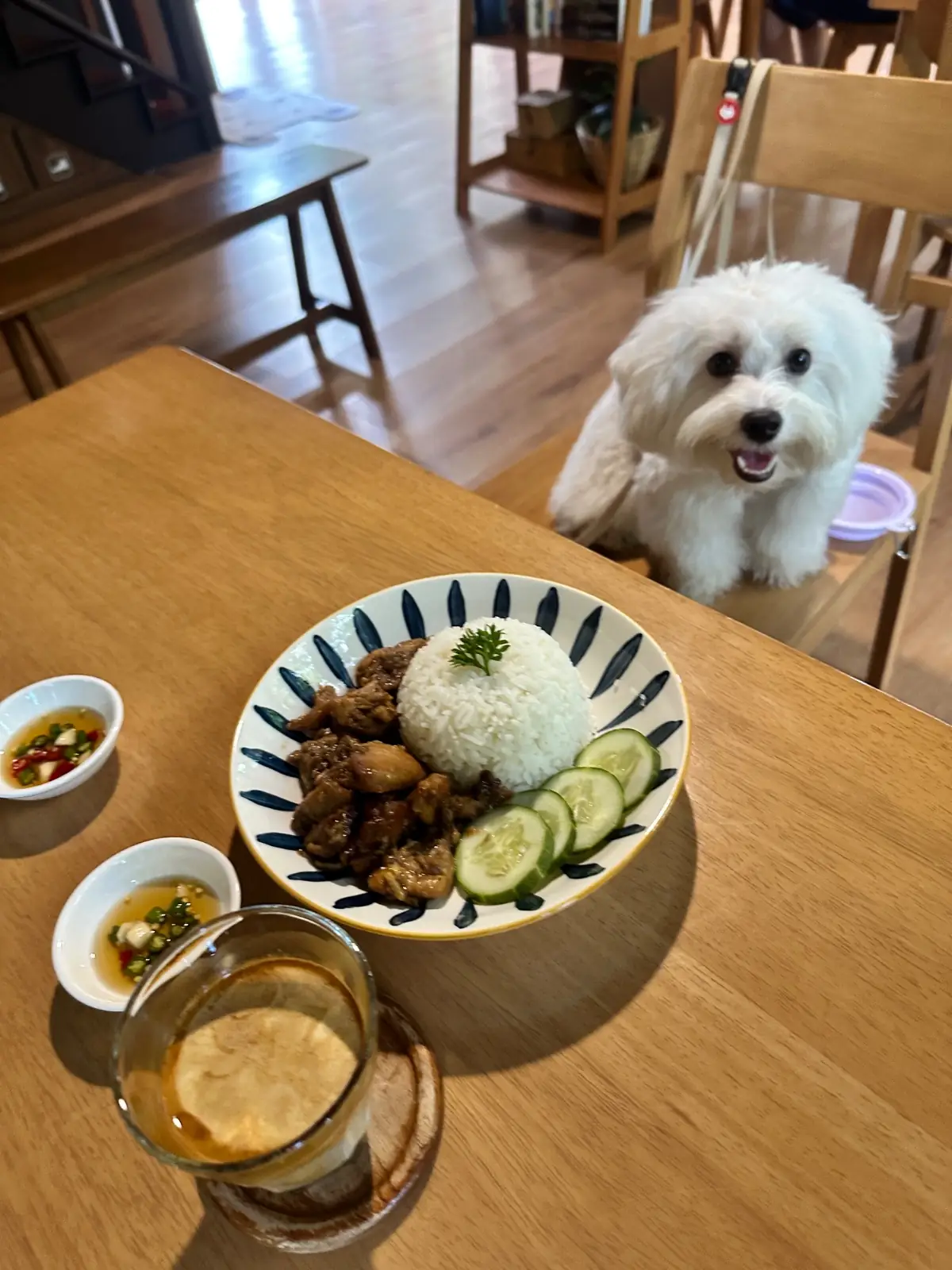 Tavy's Home pets image 3