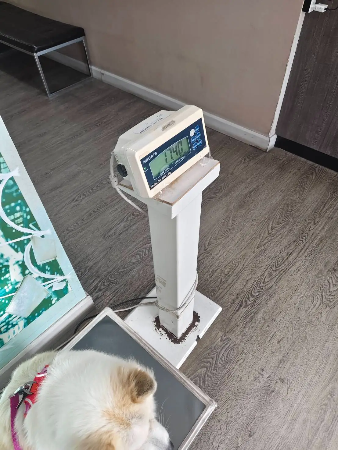 Crystal Pet Hospital other image 1