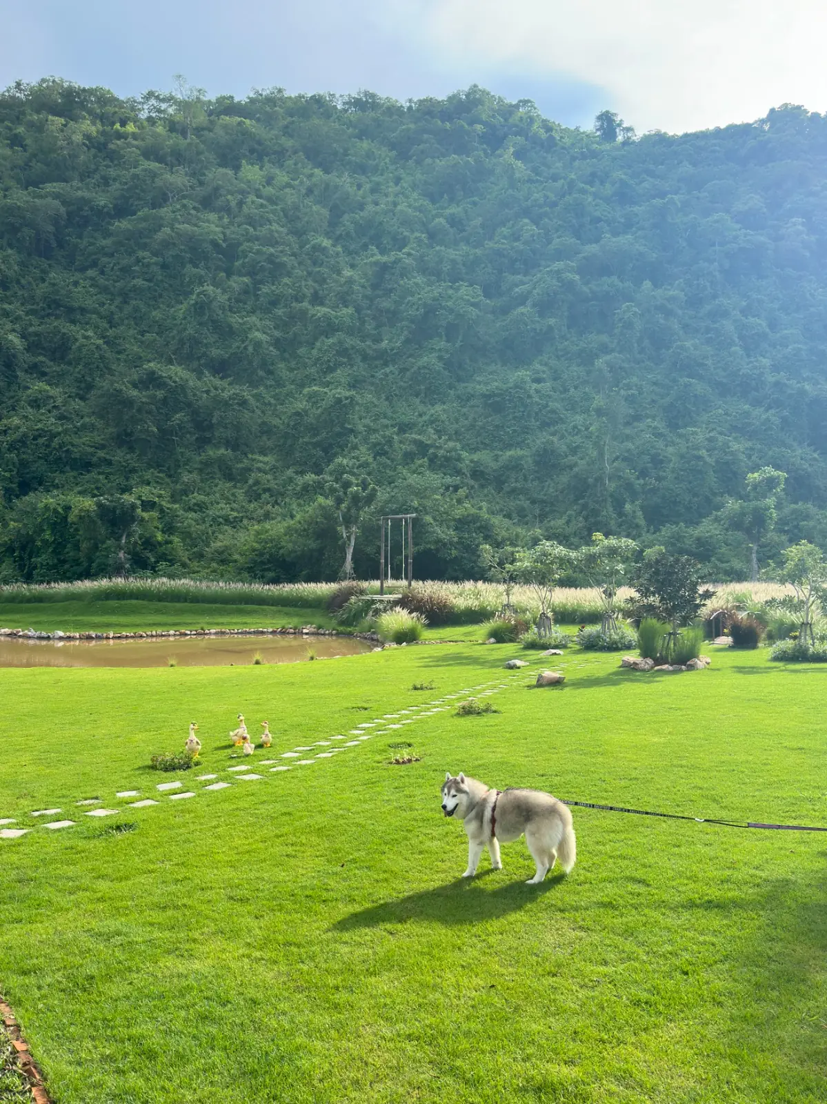 Bambat.Cafe - Khaoyai pets image 2