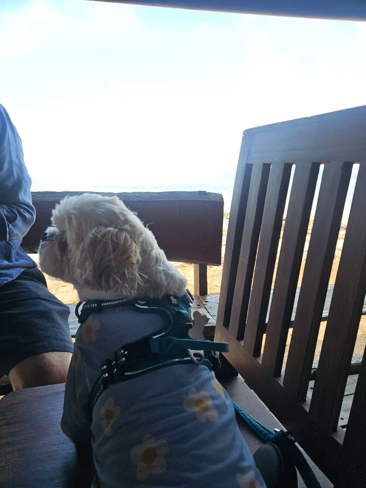 แม่ไม้ other image 1