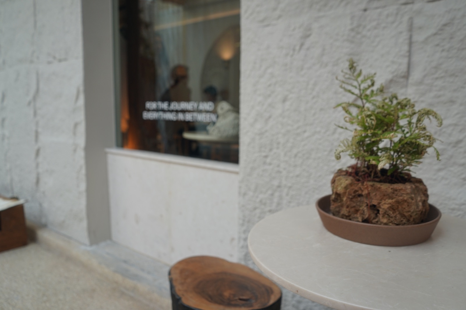 Everest & Co. - Gump's Ari ambiance image 1