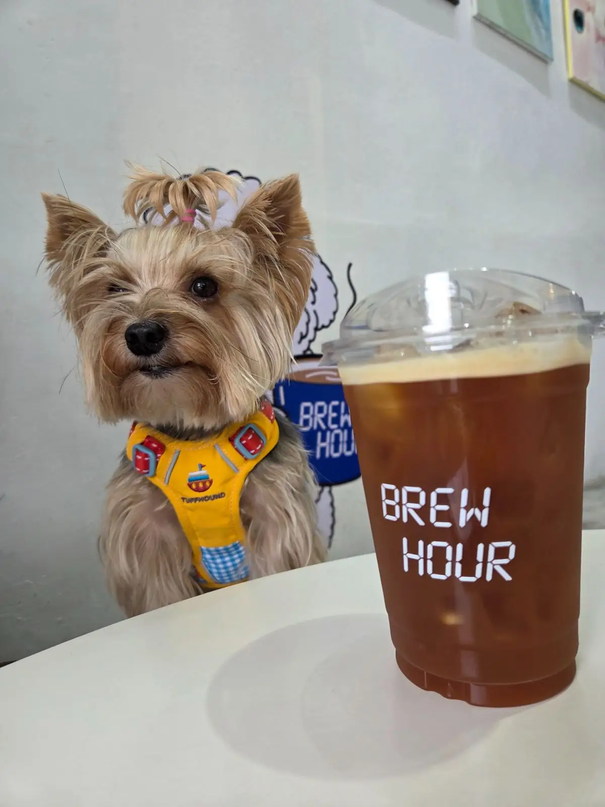 BREW HOUR COFFEE food image 2