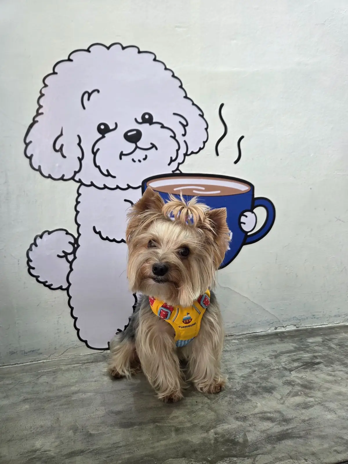 BREW HOUR COFFEE pets image 3