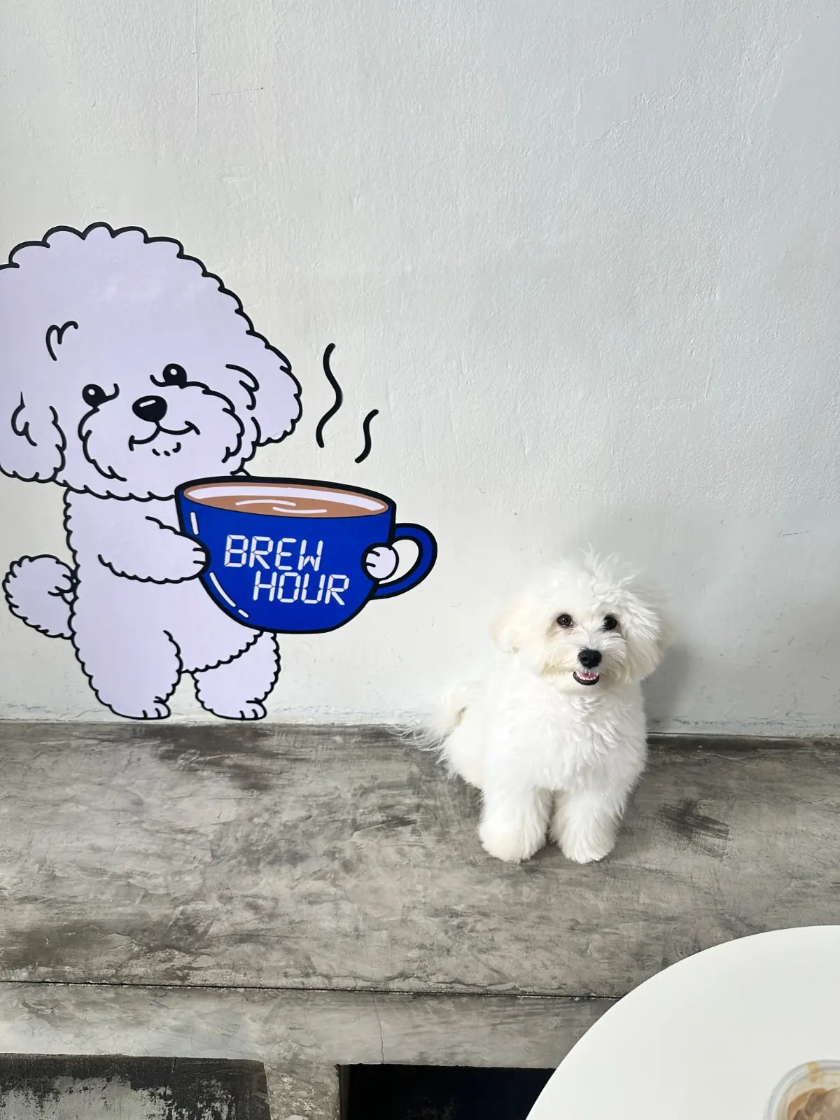 Brew Hour Coffee pets image 2