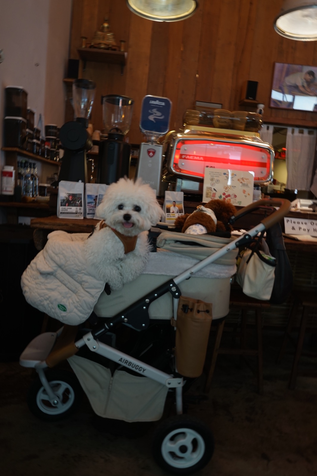 Mana Craft pets image 3