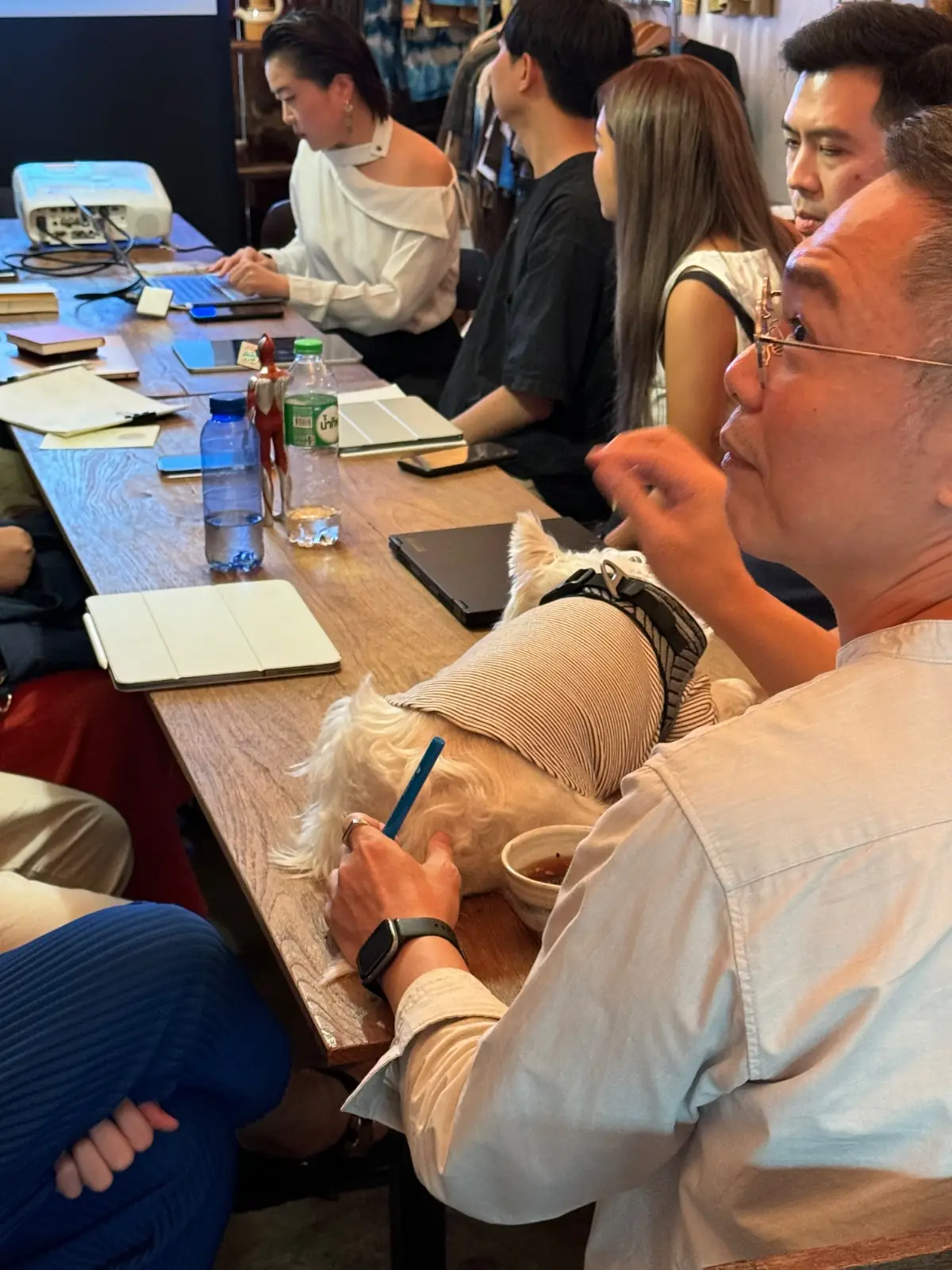 Mana Craft pets image 5