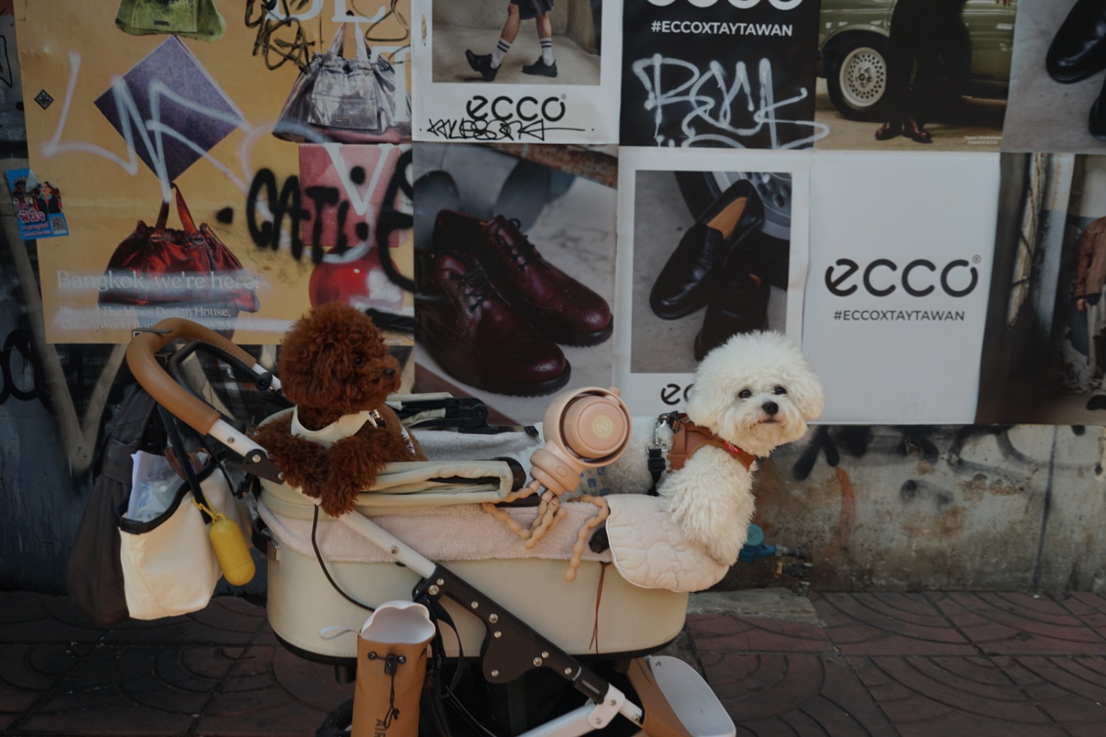 Mana Craft pets image 2