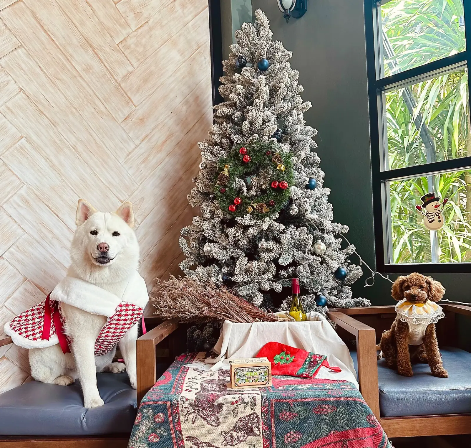 Toplofty Cafe pets image 6