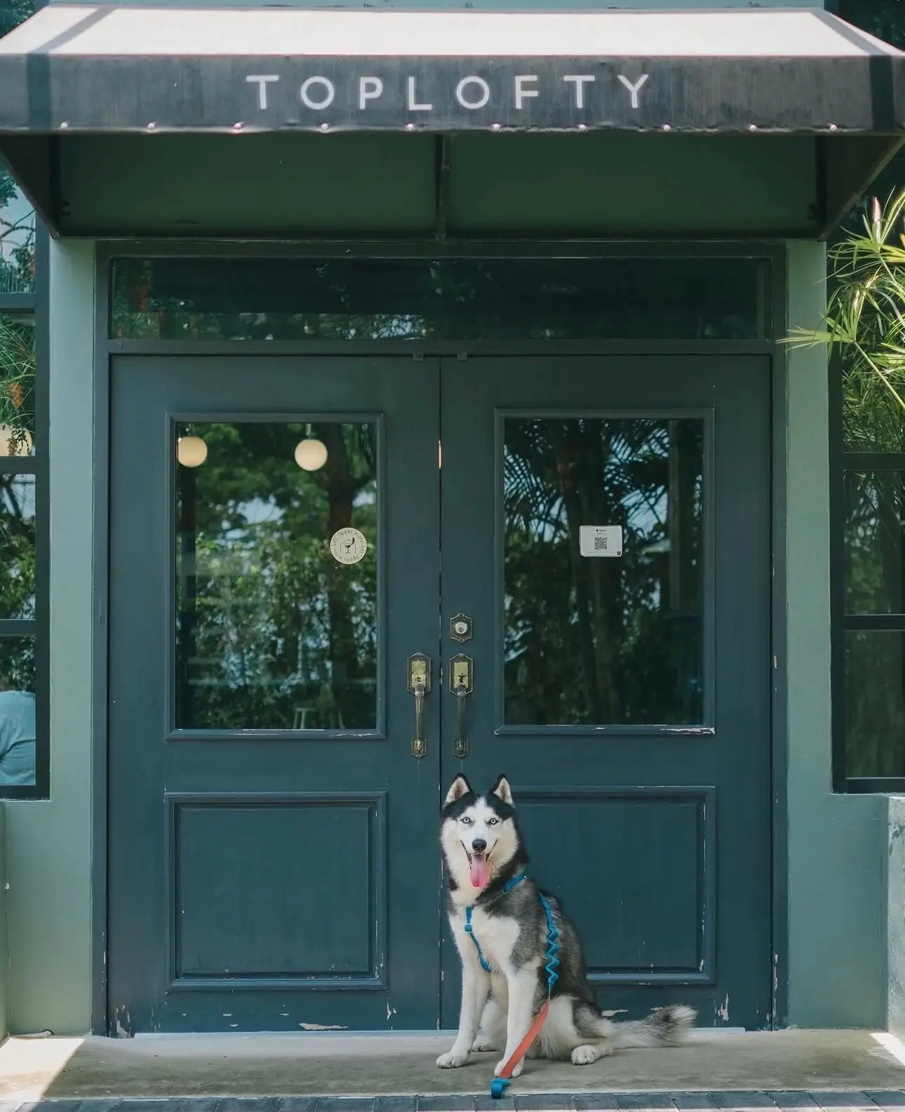Toplofty Cafe pets image 3