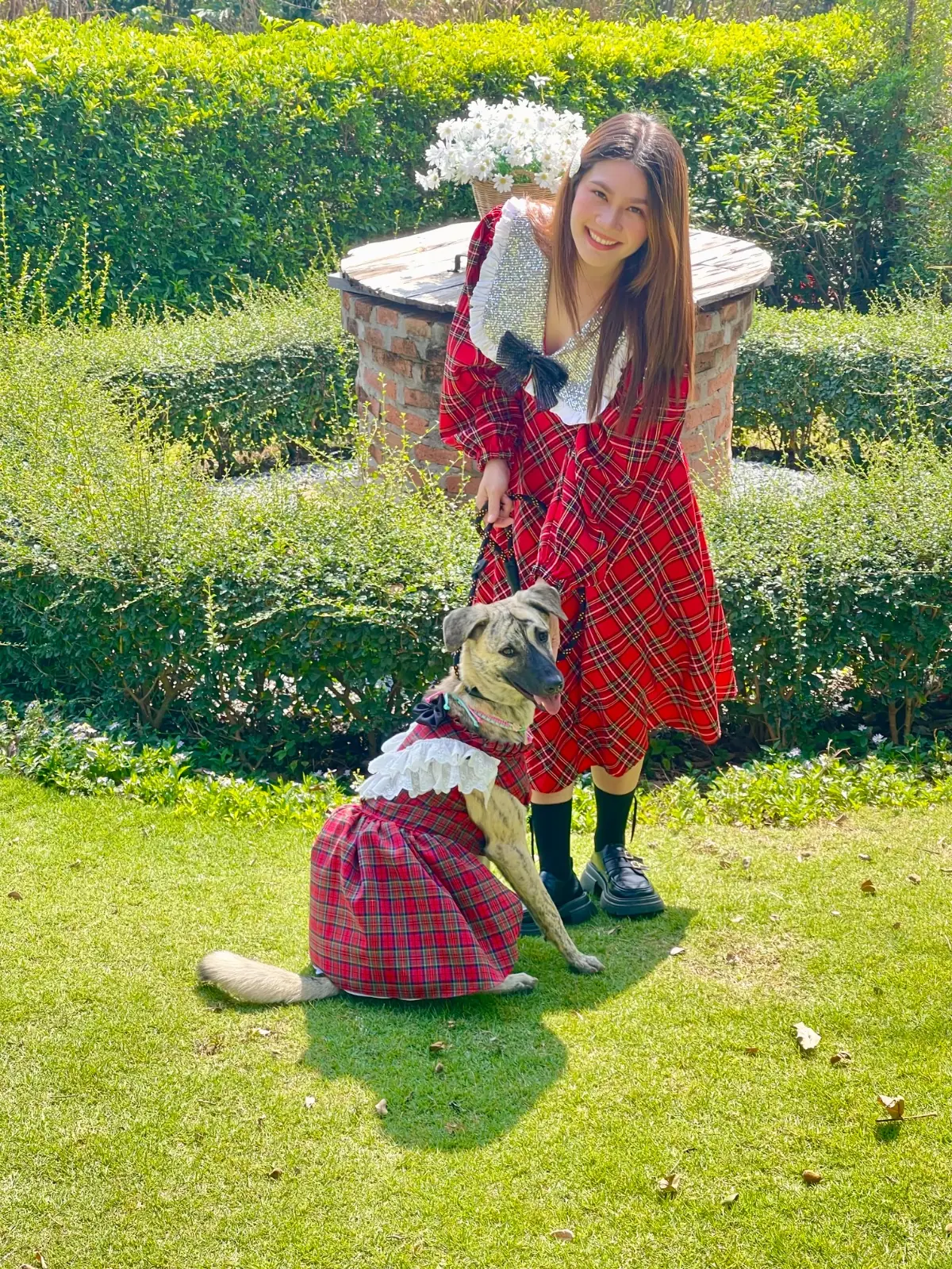 LOST Coffee House - Khaoyai pets image 1