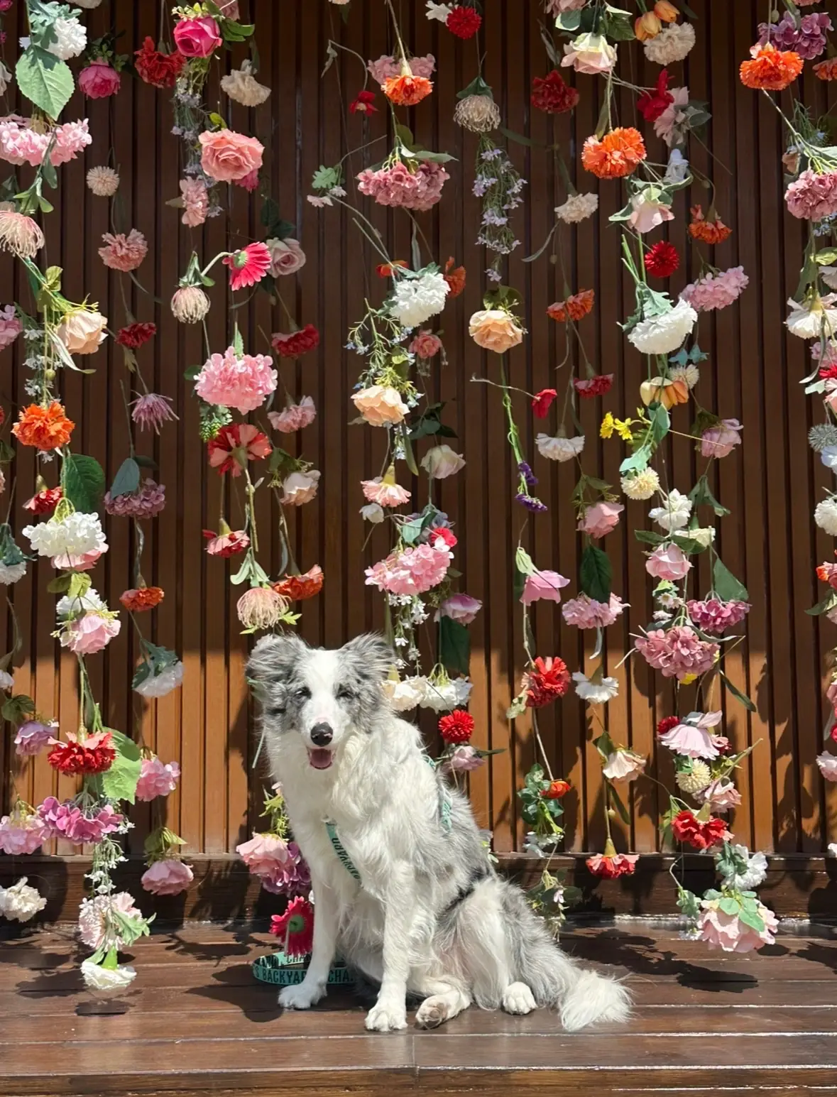 fulls overall image 1