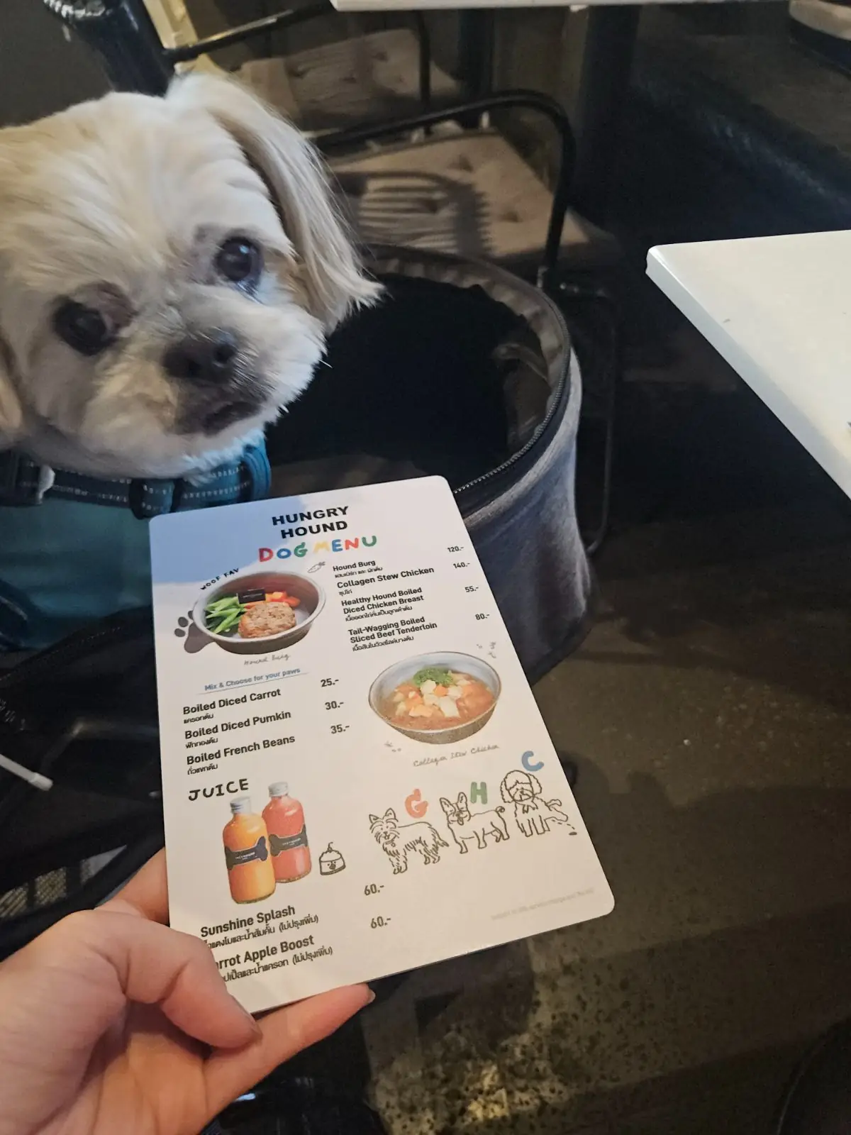 Greyhound Cafe - Mega Bangna pets image 1