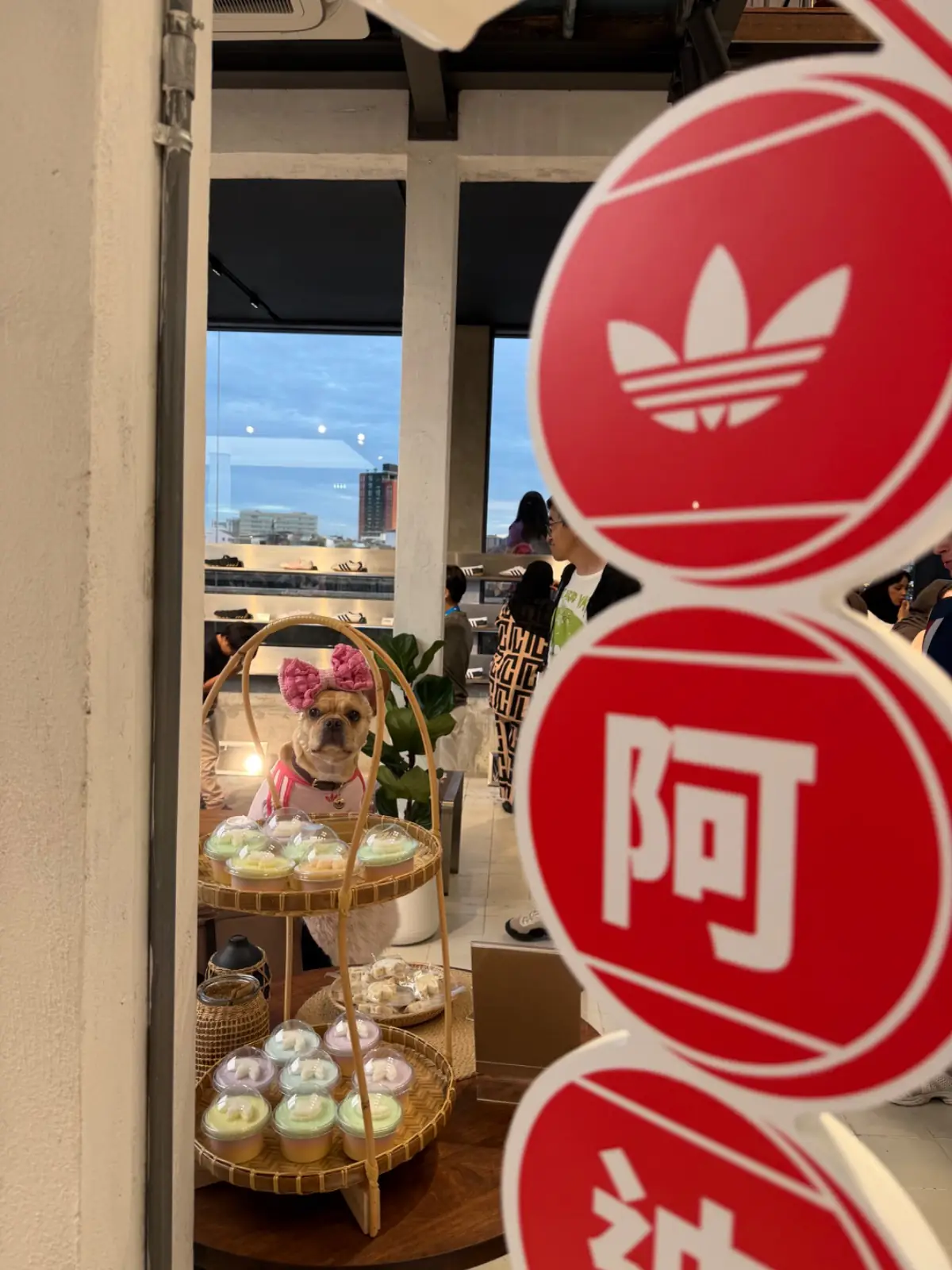 % Arabica Bangkok - adidas Originals Store Song Wat pets image 2