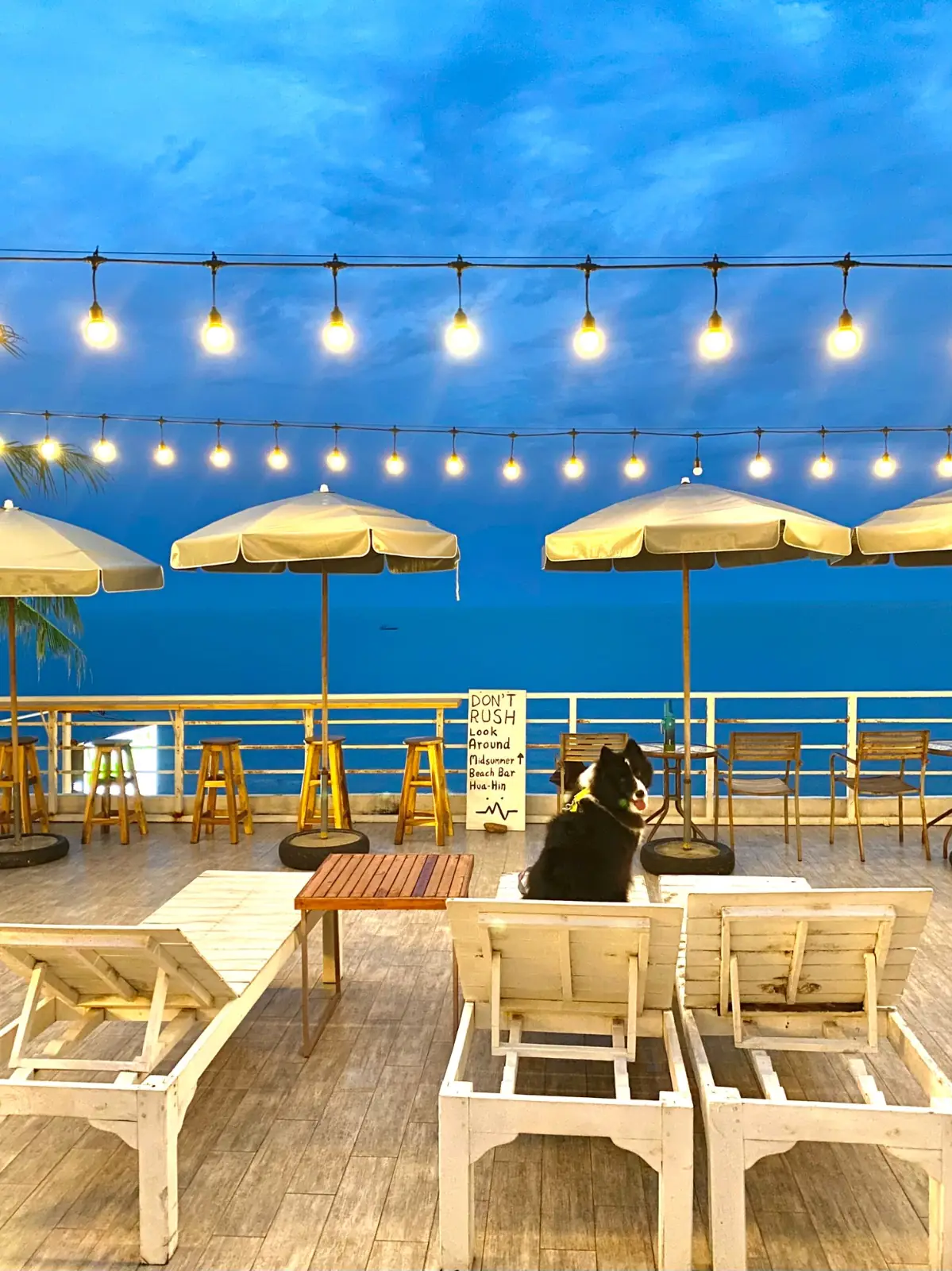 Midsummer Beach Bar overall image 2