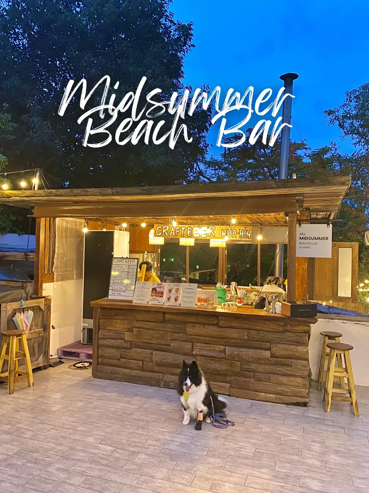 Midsummer Beach Bar overall image 1