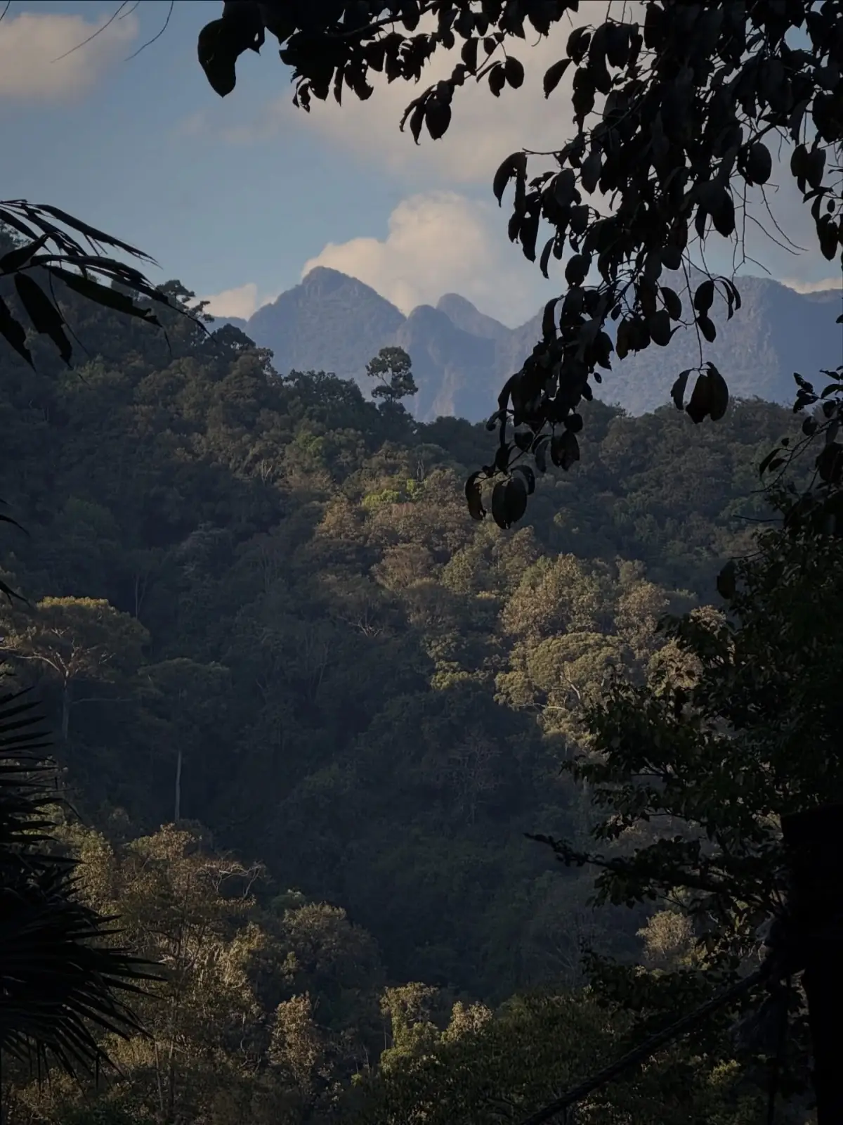 อุ้ยคำ โฮมสเตย์ เชียงดาว amenities image 1