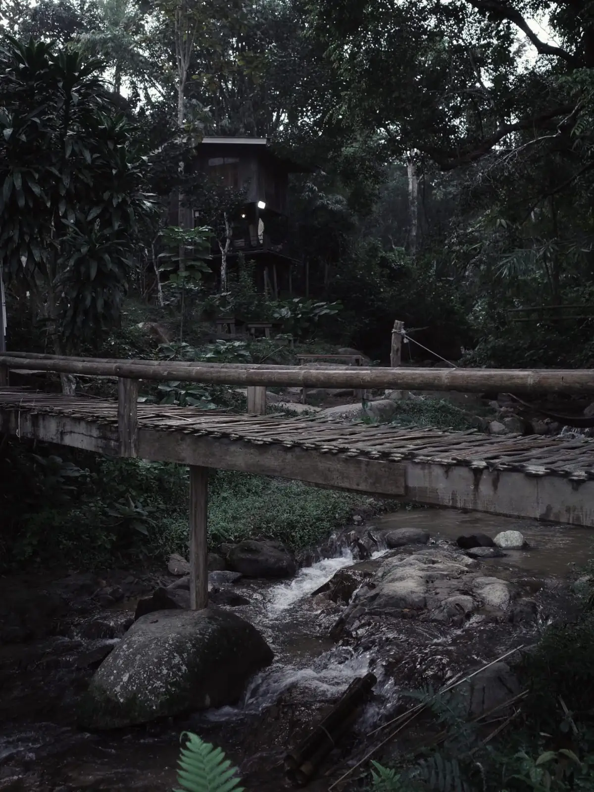 อุ้ยคำ โฮมสเตย์ เชียงดาว amenities image 2