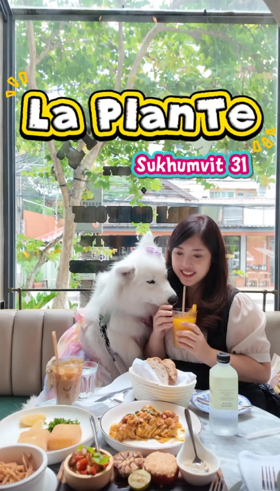 La Plante pets image 1