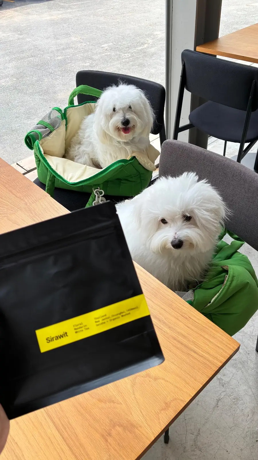 Livid Coffee Roasters pets image 1