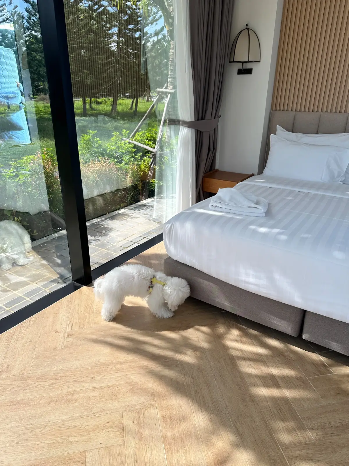 Mirror Mirror Hotel Café & Restaurant pets image 1