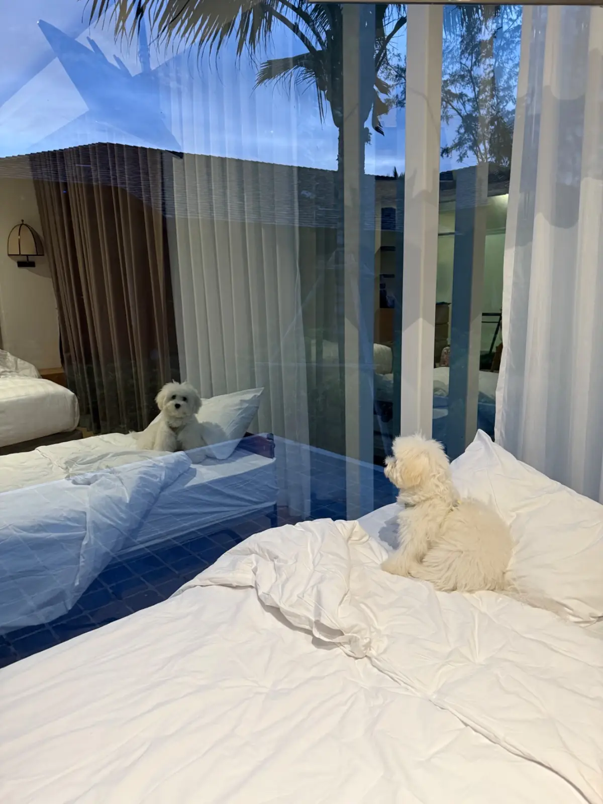 Mirror Mirror Hotel Café & Restaurant rooms image 1
