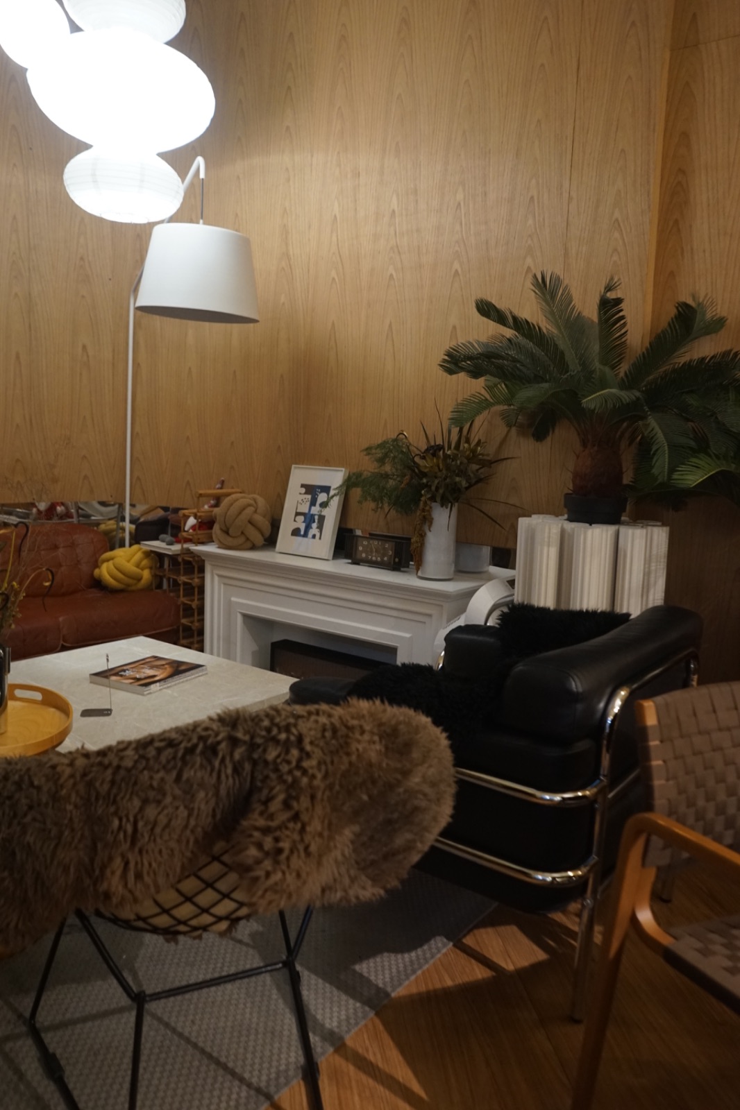 ENVIES overall image 6