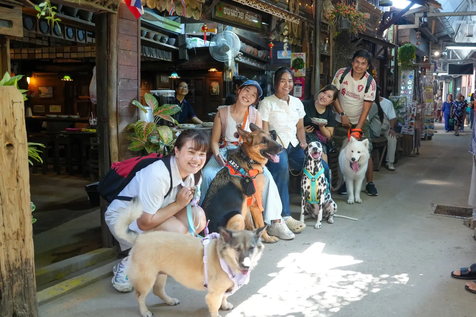 เกาะเกร็ด pets image 2