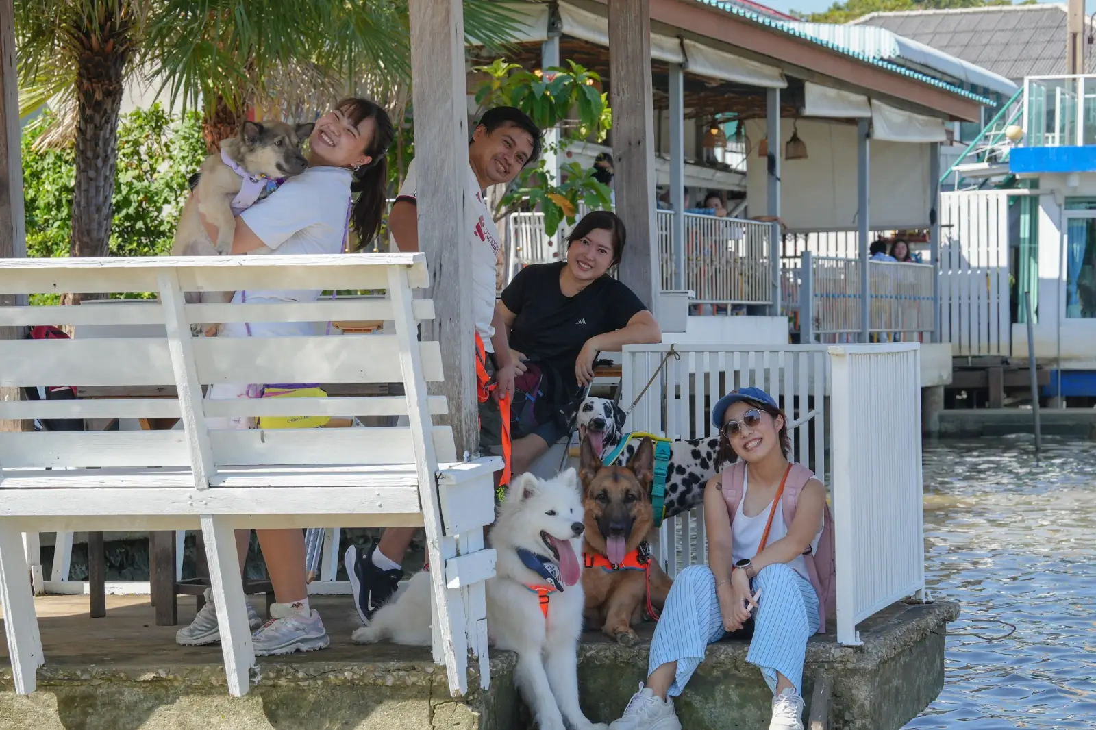 เกาะเกร็ด pets image 6