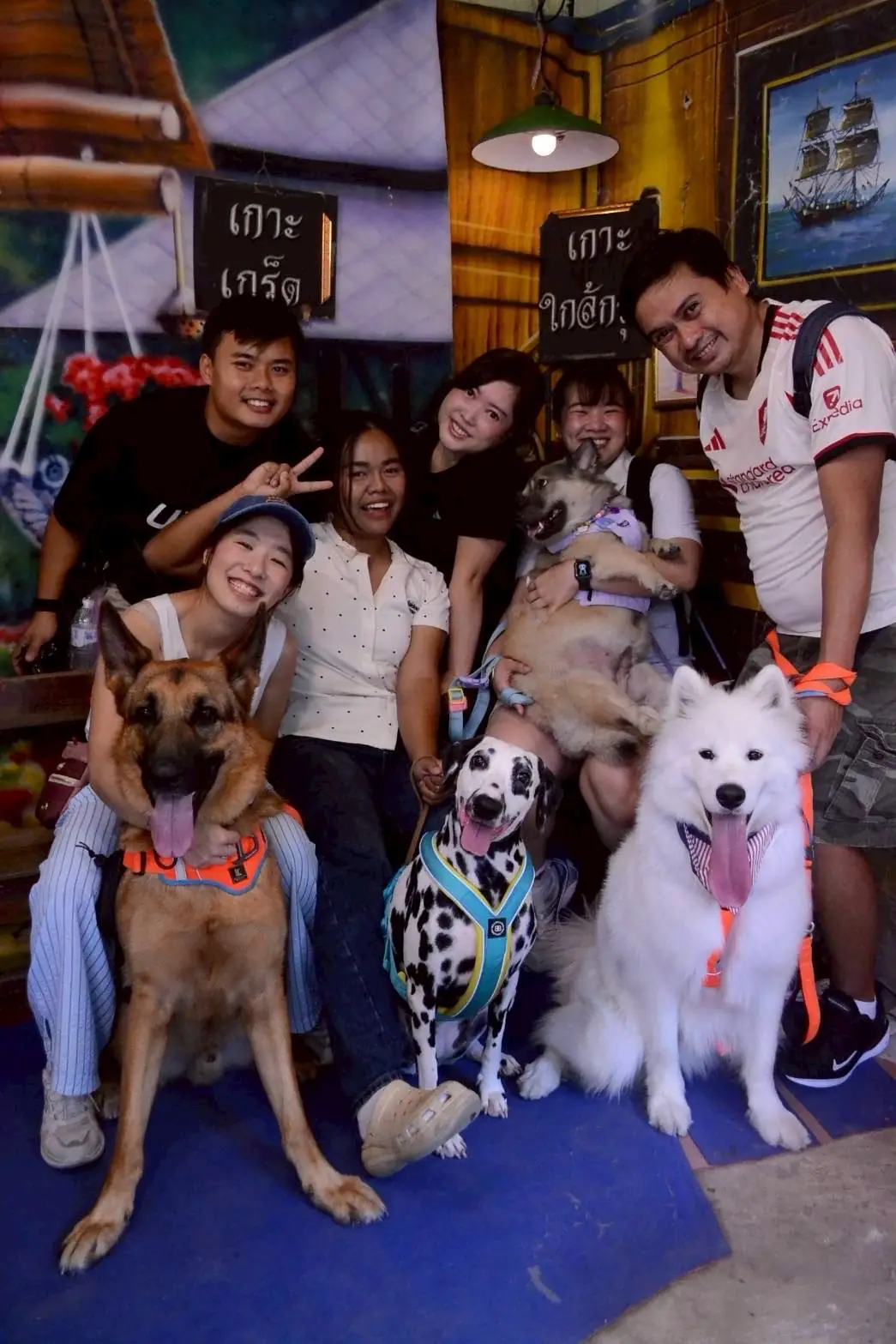 เกาะเกร็ด pets image 3