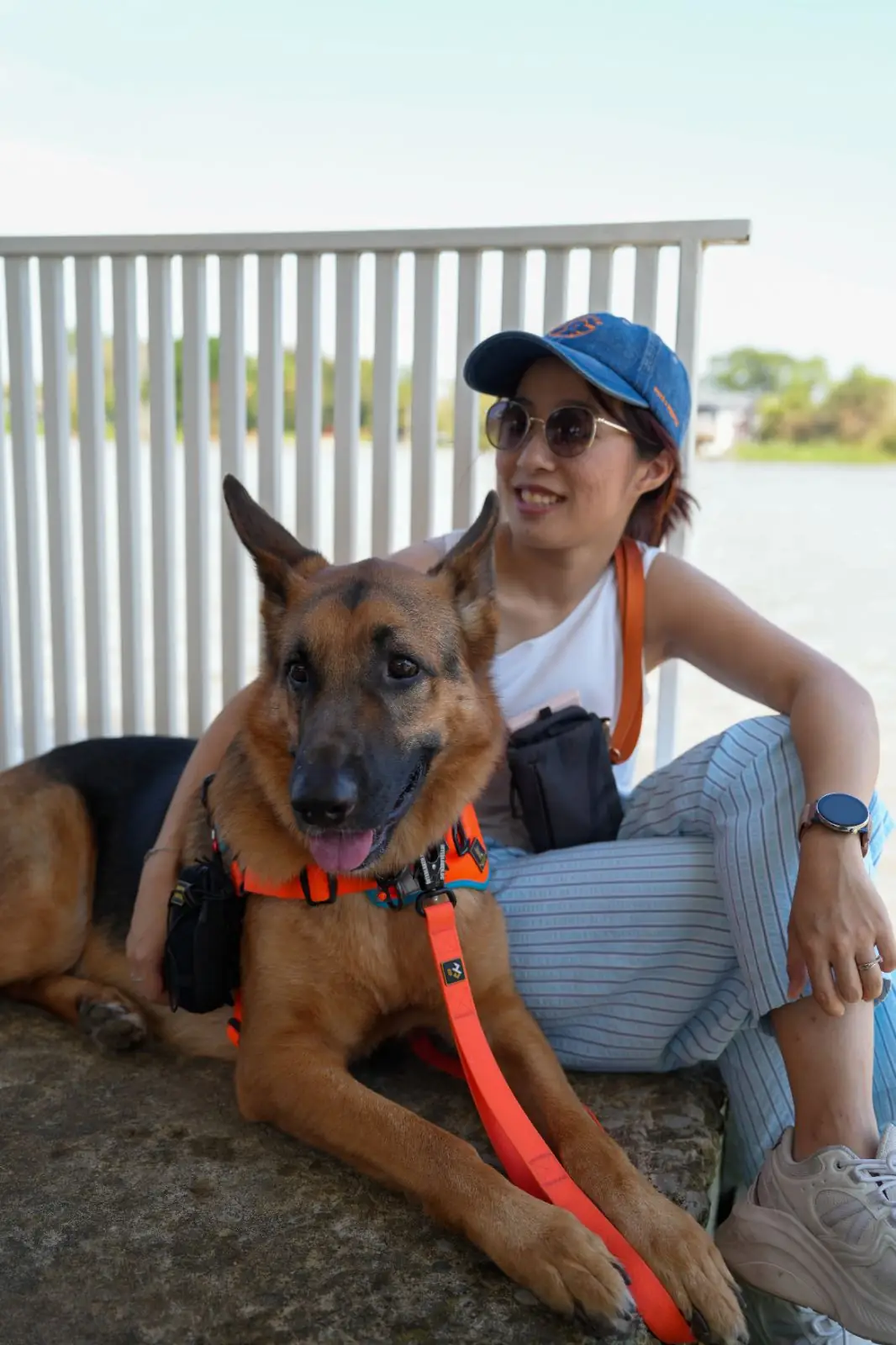 เกาะเกร็ด pets image 7