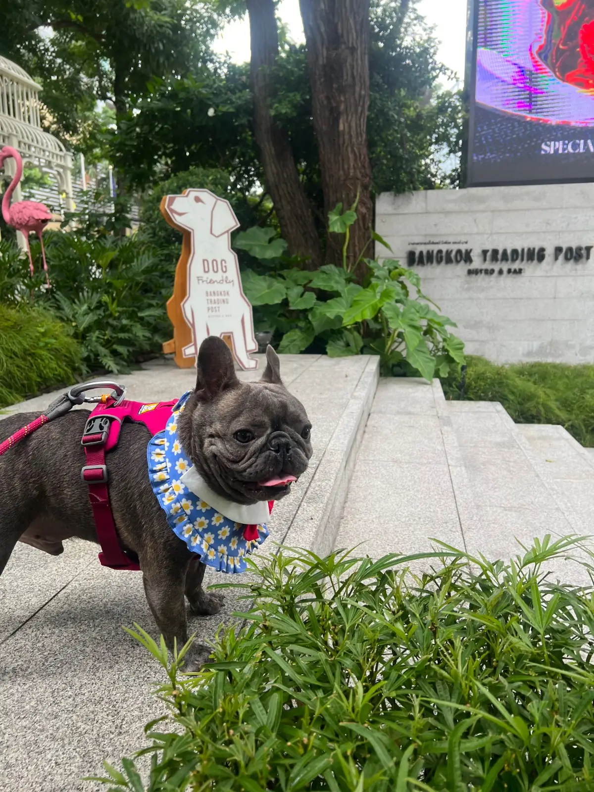 Bangkok Trading Post Bistro & Bar other image 1